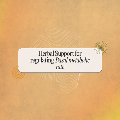 Herbobysity Capsules: Natural Herbal Support for Metabolic Wellness