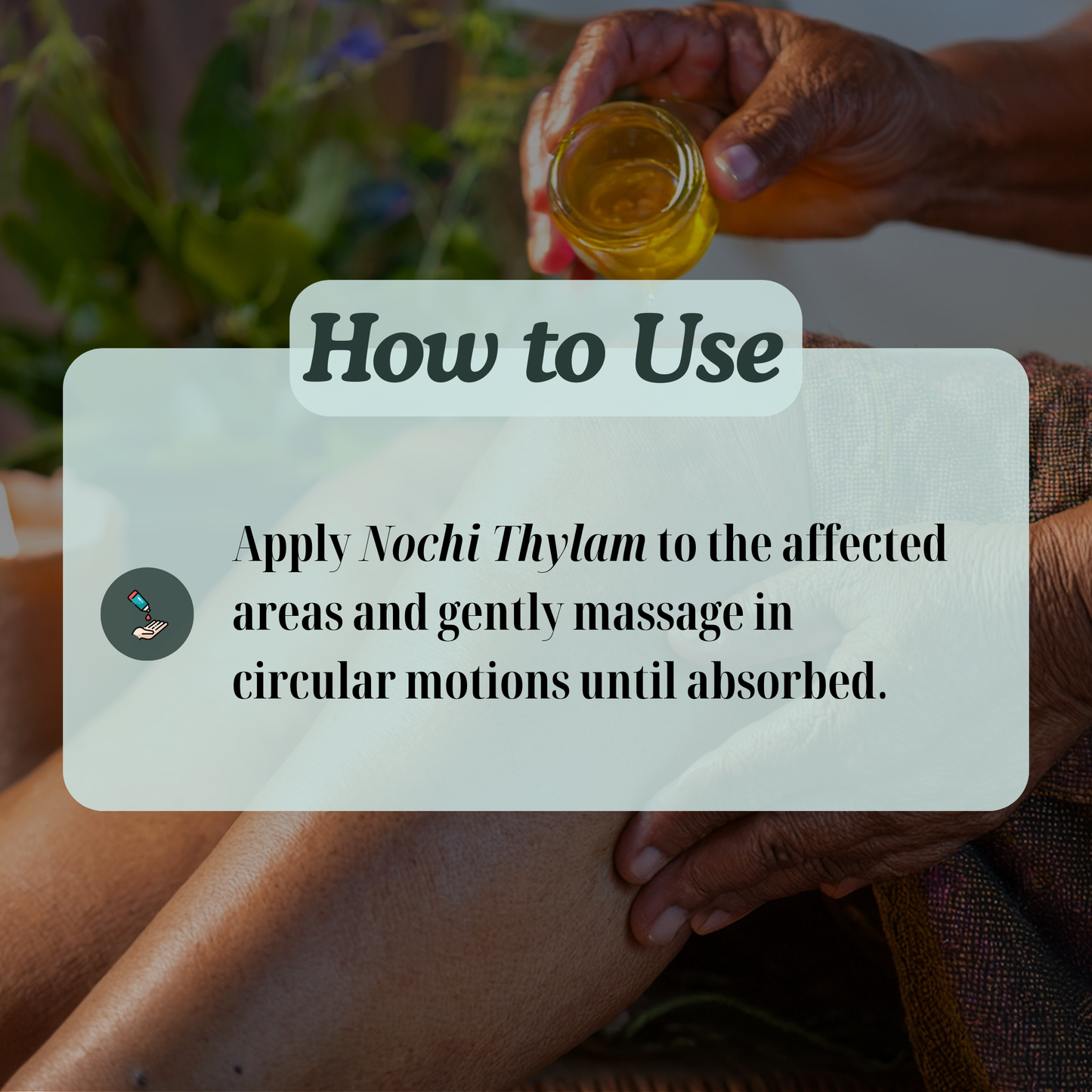 Nochi Thylam – Natural Siddha Support for Body Comfort, Seasonal Wellness and Respiratory Ease