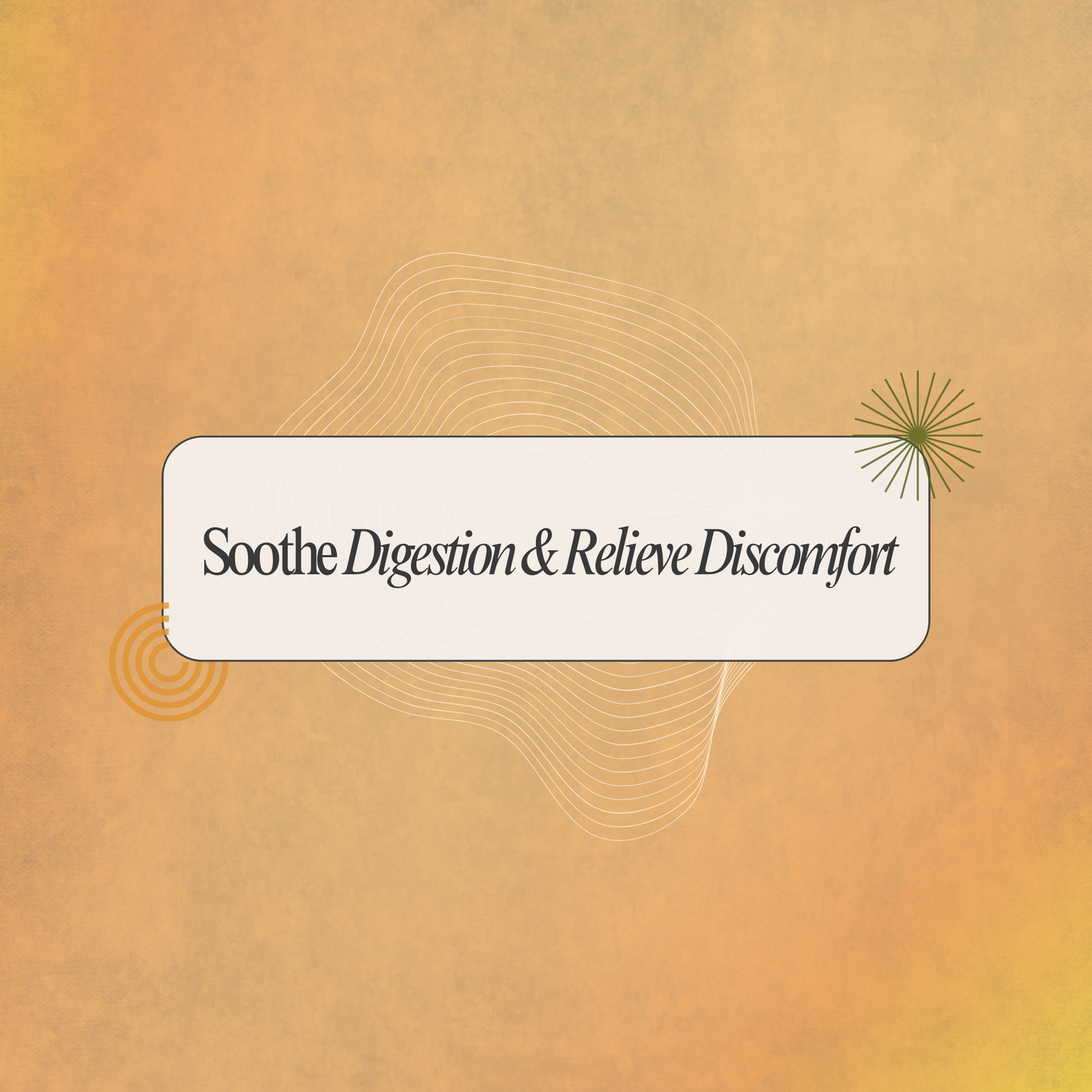 Soothe Digestion & Relieve Discomfort with Karpoorathi Theeneer: A Traditional Siddha Elixir