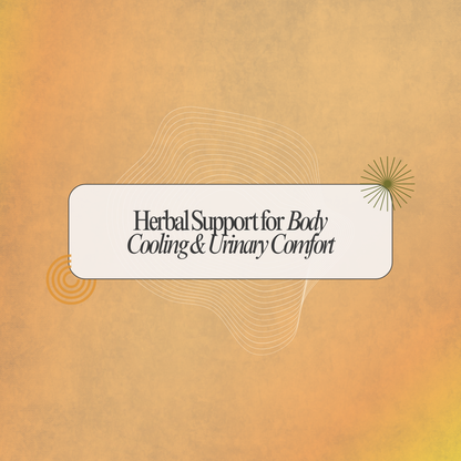 Chandanathi Capsule: Natural Siddha Support for Urinary Comfort and Body Heat Balance