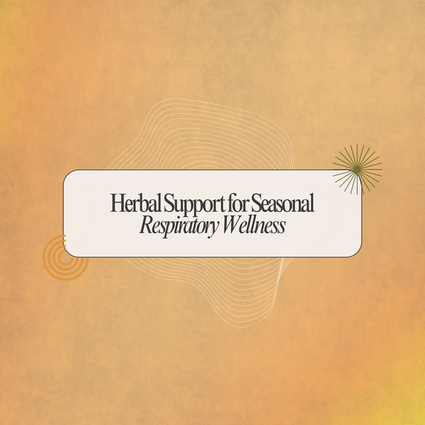 Herbex Cough Syrup: Herbal Support for Respiratory Comfort