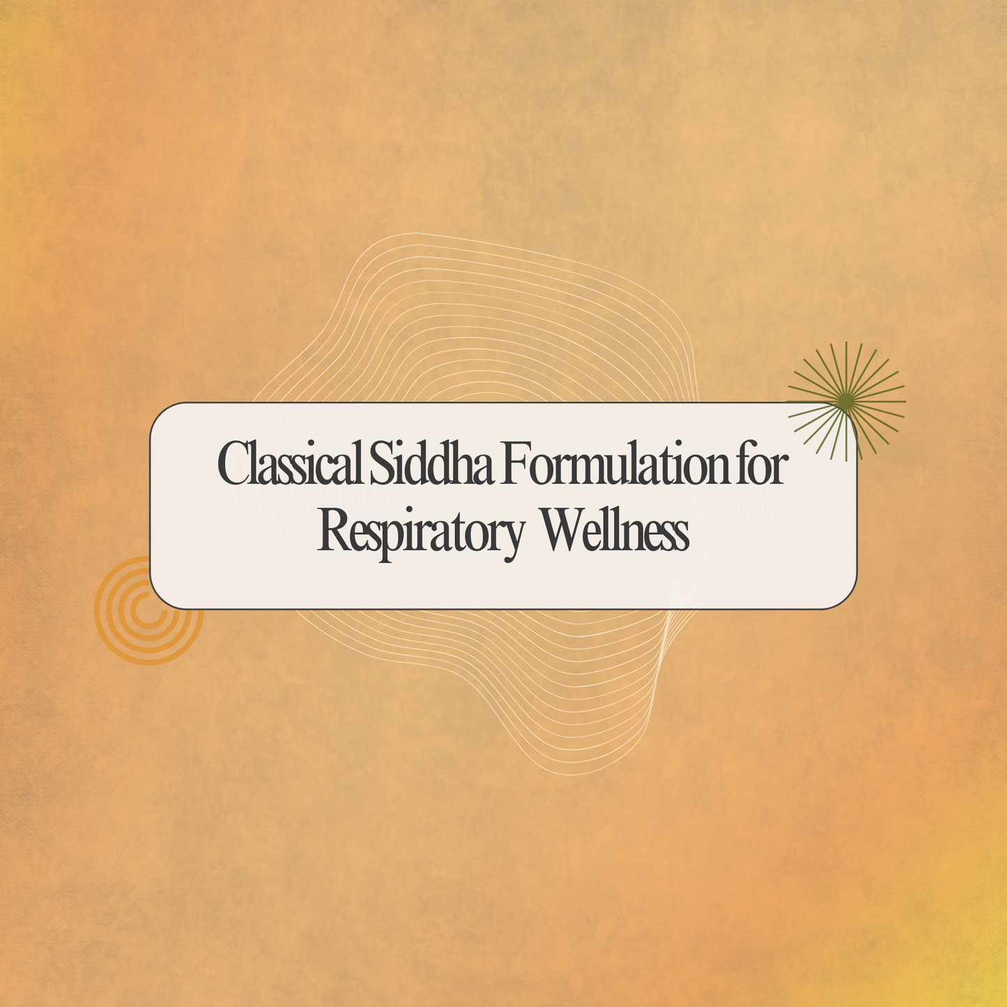 Nilavembu Kudineer – Traditional Siddha Herbal Blend for Immune Wellness