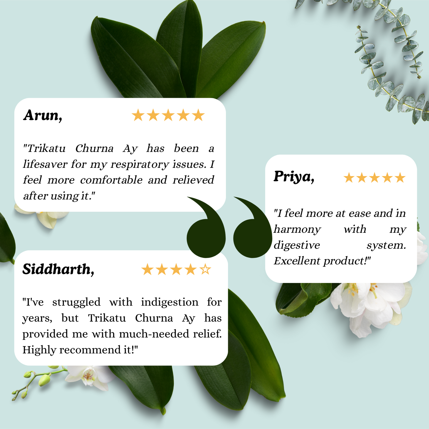Trikatu Churna Ay: Traditional Ayurvedic Herbal Blend for Digestive and Respiratory Wellness