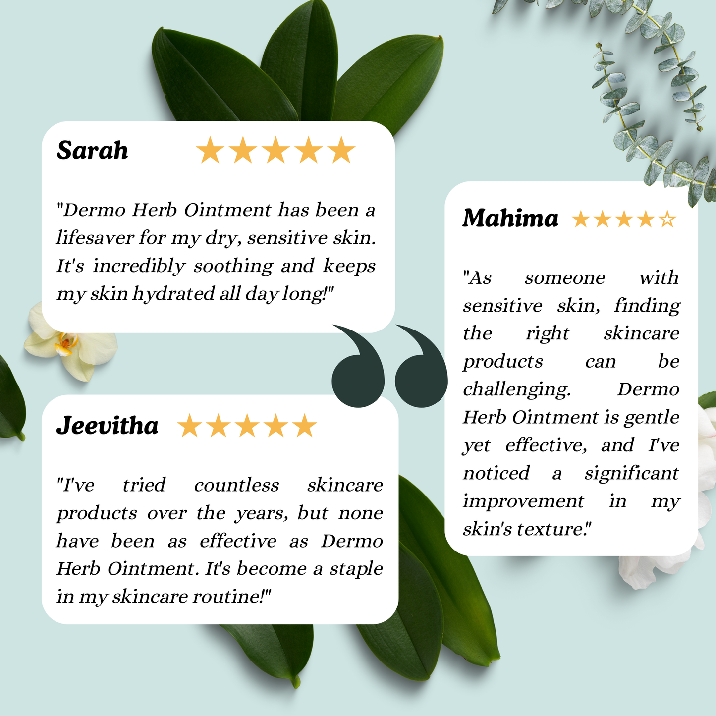 Dermo Herb Ointment: Traditional Siddha Herbal Skin Care Support