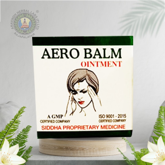 Aero balm Ointment 15 gms - 2